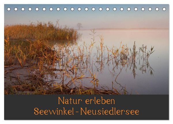 Produktbild: Natur erleben Seewinkel-Neusiedlersee (Tischkalender 2026 DIN A5 quer), CALVENDO Monatskalender