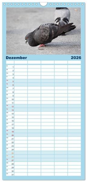 Produktbild: Familienplaner 2026 - Geliebte Tauben mit 5 Spalten (Wandkalender, 21 x 45 cm) CALVENDO