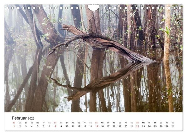 Produktbild: Mythos Amazonas - Naturparadies Brasiliens (Wandkalender 2026 DIN A4 quer), CALVENDO Monatskalender