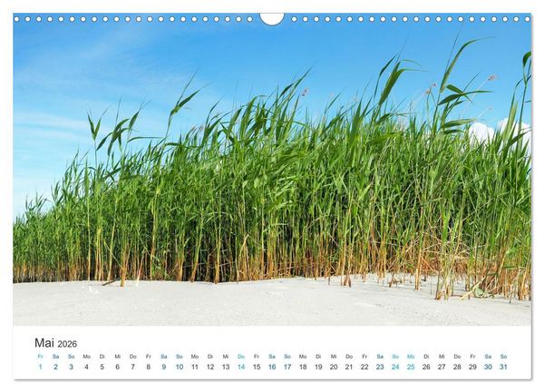 Produktbild: Deutsche K&uuml;ste - Nordsee und Ostsee (Wandkalender 2026 DIN A3 quer), CALVENDO Monatskalender