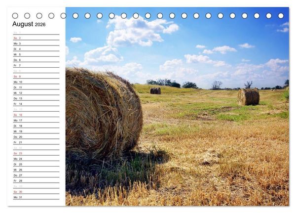 Produktbild: Die Jahreszeiten im Havelland (Tischkalender 2026 DIN A5 quer), CALVENDO Monatskalender