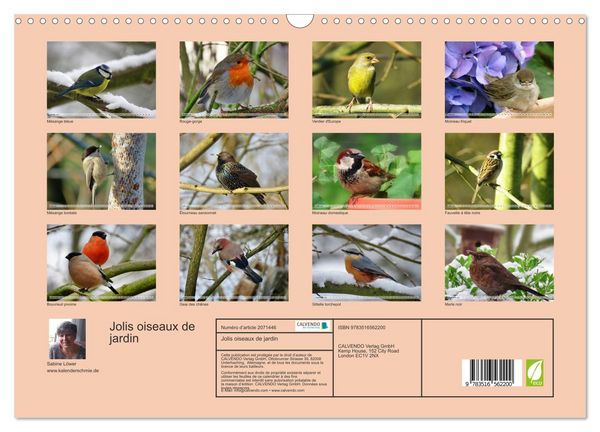Produktbild: Jolis oiseaux de jardin (Calendrier mural 2026 DIN A3 vertical), CALVENDO calendrier mensuel