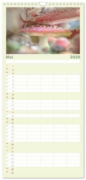 Produktbild: Familienplaner 2026 - Die Welt der Fliegenpilze mit 5 Spalten (Wandkalender, 21 x 45 cm) CALVENDO