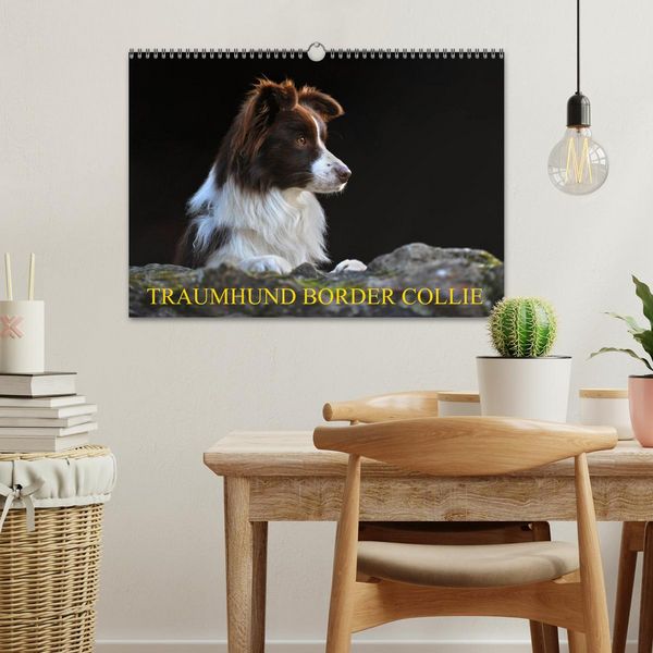 Produktbild: Traumhund Border Collie (Wandkalender 2026 DIN A3 quer), CALVENDO Monatskalender
