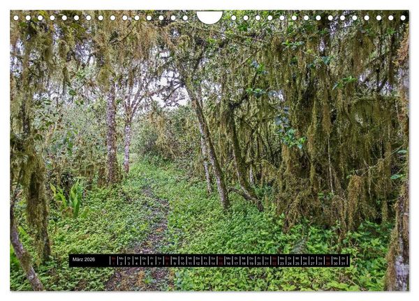 Produktbild: Galapagos- Landschaften (Wandkalender 2026 DIN A4 quer), CALVENDO Monatskalender