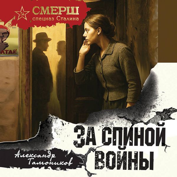 Za spinoy voyny - Aleksandr Tamonikov, Audio, 9785042424564