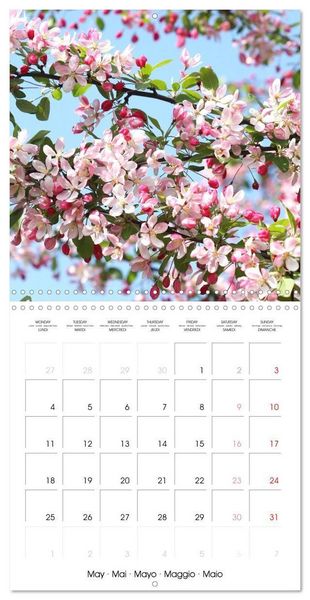 Produktbild: Kruse, G: Printemps toute l'ann&eacute;e (Calendrier mural carr&eacute; 20