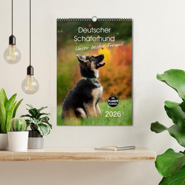 Produktbild: Deutscher Sch&auml;ferhund - unser bester Freund (Wandkalender 2026 DIN A3 hoch), CALVENDO Monatskalender