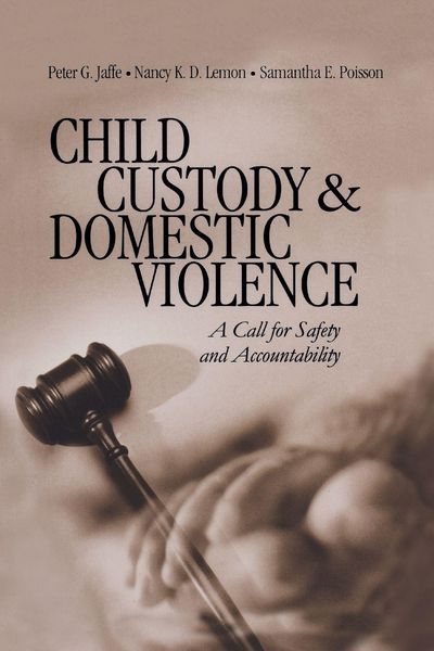 Produktbild: Child Custody and Domestic Violence