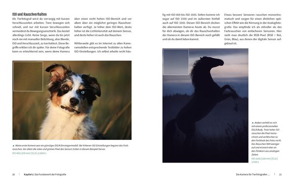 Produktbild: Haustiere perfekt fotografieren