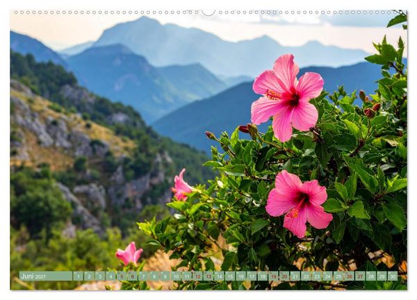 Produktbild: Zimmerpflanzen auf Heimaturlaub (Wandkalender 2027 DIN A2 quer), CALVENDO Monatskalender