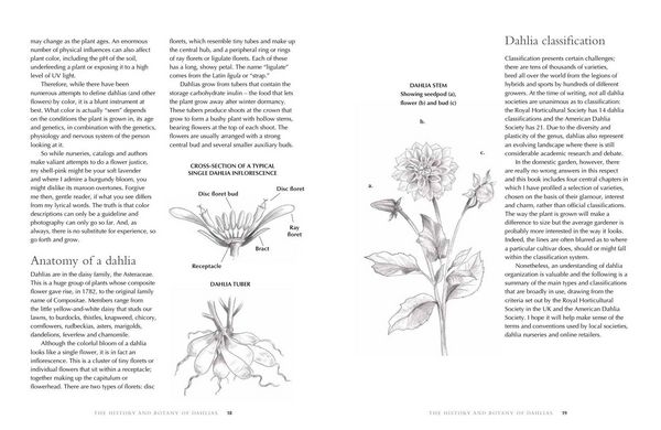Produktbild: Lane, G: Dahlias