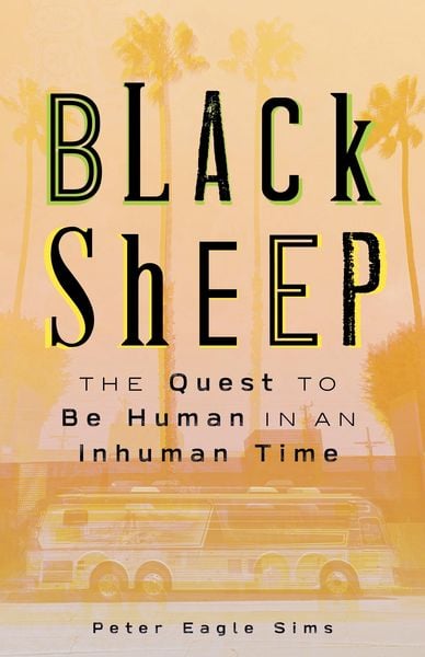 Produktbild: Sims, P: Black Sheep