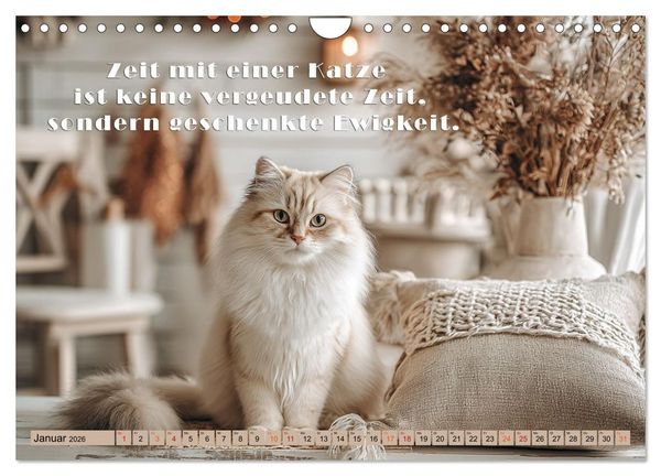 Produktbild: Miau-velous Pfotenpoesie (Wandkalender 2026 DIN A4 quer), CALVENDO Monatskalender