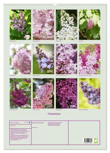 Produktbild: Fliederbl&uuml;te (Wandkalender 2026 DIN A2 hoch), CALVENDO Monatskalender