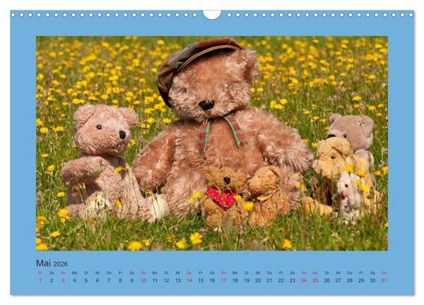 Produktbild: Teddys Meine Freunde (Wandkalender 2026 DIN A3 quer), CALVENDO Monatskalender