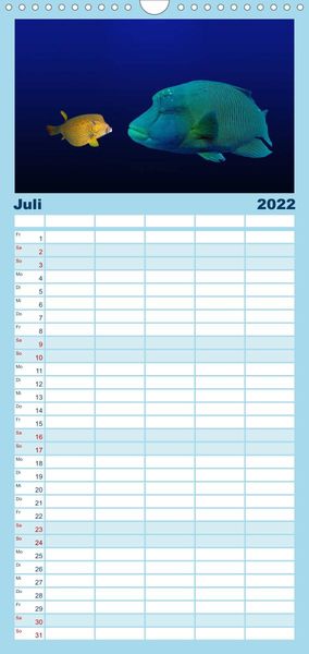 Produktbild: Riffleben - Einfach mal abtauchen - Familienplaner hoch (Wandkalender 2022 , 21 cm x 45 cm, hoch)