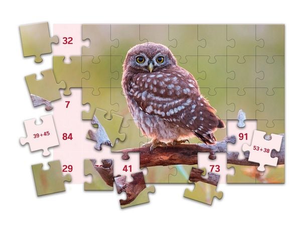 Produktbild: SCHUBI MathPuzzles