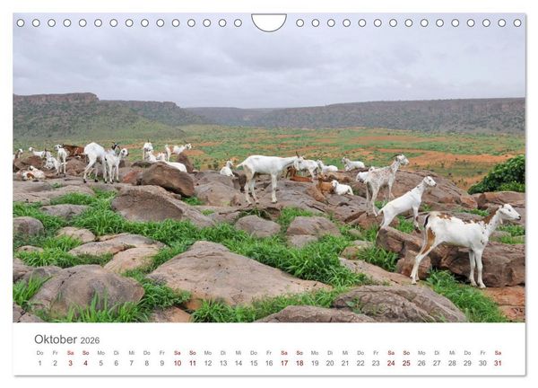 Produktbild: Mali - Dogonland - Weltkultur- und Weltnaturerbe (Wandkalender 2026 DIN A4 quer), CALVENDO Monatskalender