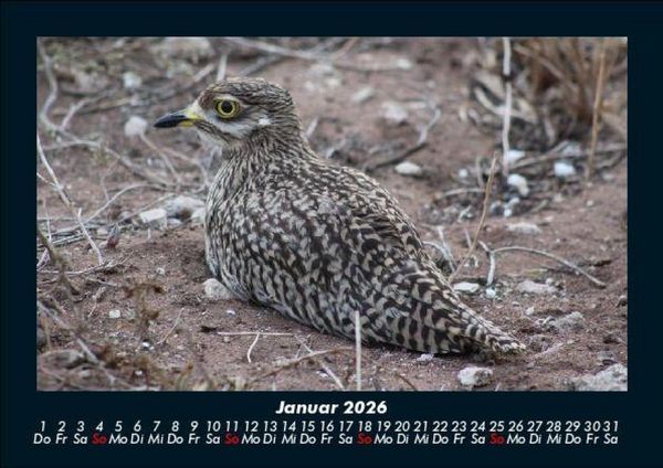Produktbild: Vogelparadies 2026 Fotokalender DIN A5