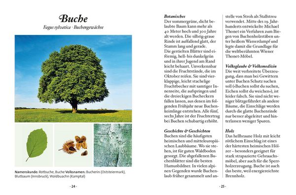 Produktbild: Das kleine Buch: Der Laubbaum
