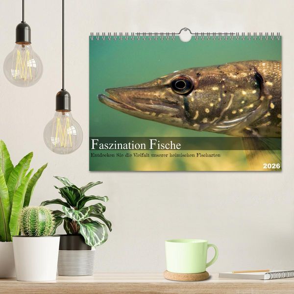 Produktbild: Faszination Fische (Wandkalender 2026 DIN A4 quer), CALVENDO Monatskalender