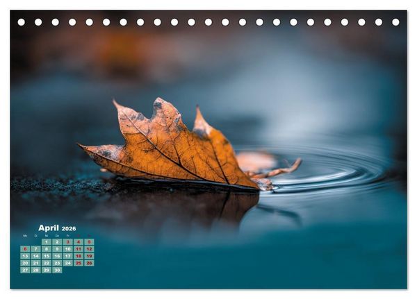 Produktbild: Herbstgefl&uuml;ster - Farben, die vom Wind erz&auml;hlen (Tischkalender 2026 DIN A5 quer), CALVENDO Monatskalender