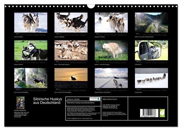 Produktbild: Sibirische Huskys aus Deutschland (Wandkalender 2026 DIN A3 quer), CALVENDO Monatskalender