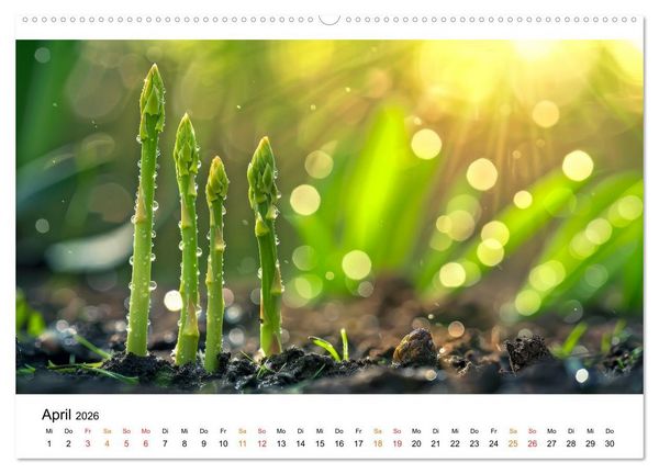 Produktbild: Gem&uuml;se f&uuml;r Gourmets (Wandkalender 2026 DIN A2 quer), CALVENDO Monatskalender