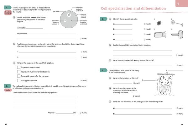 Produktbild: GCSE Science 9-1 - Aqa GCSE (9-1) Biology Grade 6-7 Booster Workbook