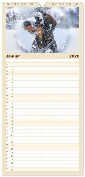 Produktbild: Familienplaner 2026 - Der Dackel mit 5 Spalten (Wandkalender, 21 x 45 cm) CALVENDO