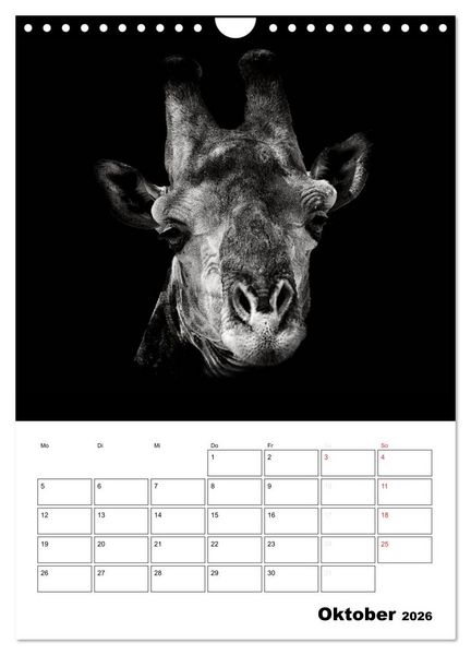 Produktbild: Charakterk&ouml;pfe aus der Welt der Tiere (Wandkalender 2026 DIN A4 hoch), CALVENDO Monatskalender