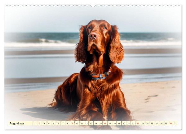 Produktbild: Rasseportraits - Hunde (Wandkalender 2026 DIN A2 quer), CALVENDO Monatskalender