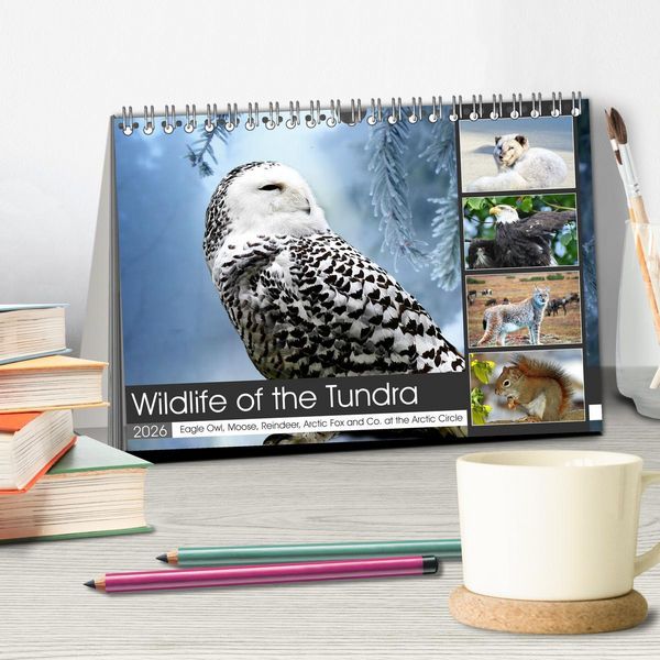 Produktbild: Wildlife of the Tundra (Desk Calendar 2026 DIN A5 landscape), CALVENDO 12 Month DeskCalendar