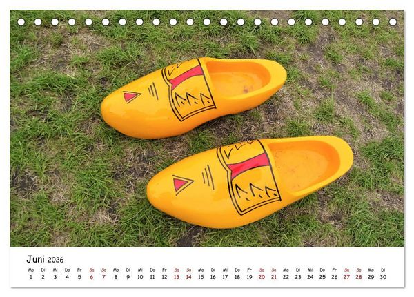 Produktbild: Tulpenbl&uuml;te in Flevoland 2026 (Tischkalender 2026 DIN A5 quer), CALVENDO Monatskalender
