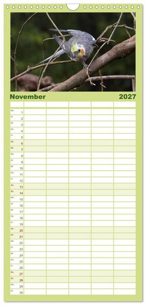 Produktbild: Familienplaner 2027 - Nymphensittiche mit 5 Spalten (Wandkalender, 21 x 45 cm) CALVENDO