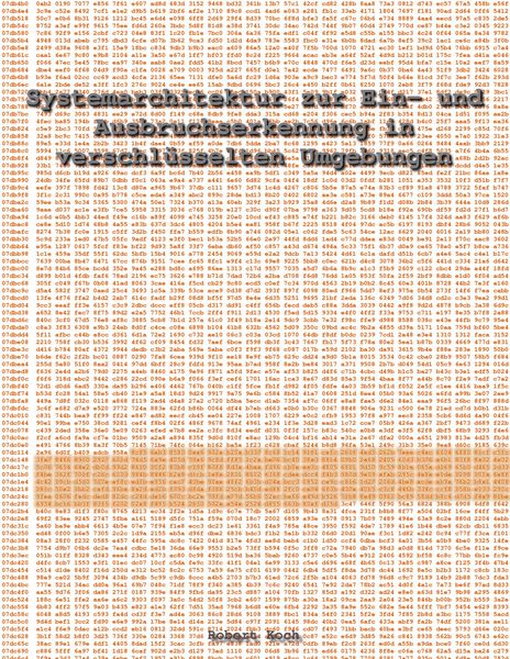 Produktbild: Systemarchitektur zur Ein- und Ausbruchserkennung in verschl&uuml;sselten Umgebungen