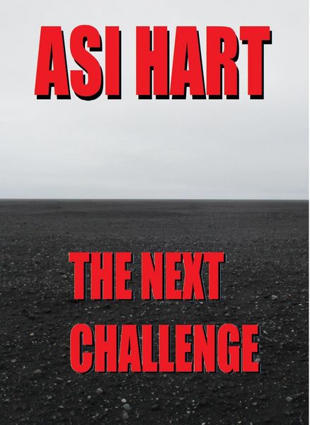 Produktbild: The Next Challenge