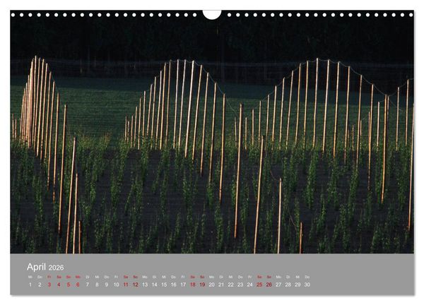 Produktbild: Hallertau (Wandkalender 2026 DIN A3 quer), CALVENDO Monatskalender