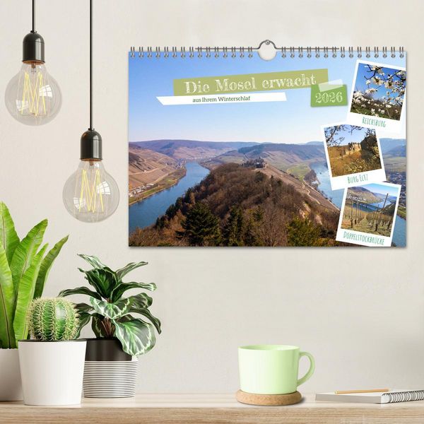 Produktbild: Die Mosel erwacht aus Ihrem Winterschlaf (Wandkalender 2026 DIN A4 quer), CALVENDO Monatskalender