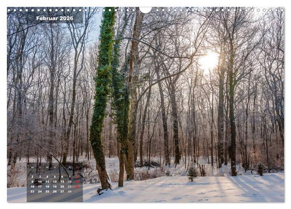 Produktbild: Zauberhafte Waldlandschaften (Wandkalender 2026 DIN A3 quer), CALVENDO Monatskalender