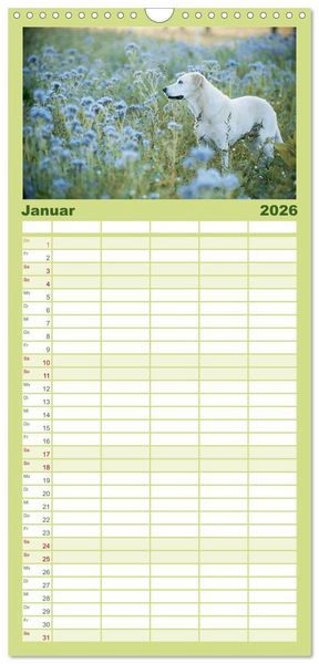 Produktbild: Familienplaner 2026 - Faszination Labrador - gelb, foxred, schwarz mit 5 Spalten (Wandkalender, 21 x 45 cm) CALVENDO