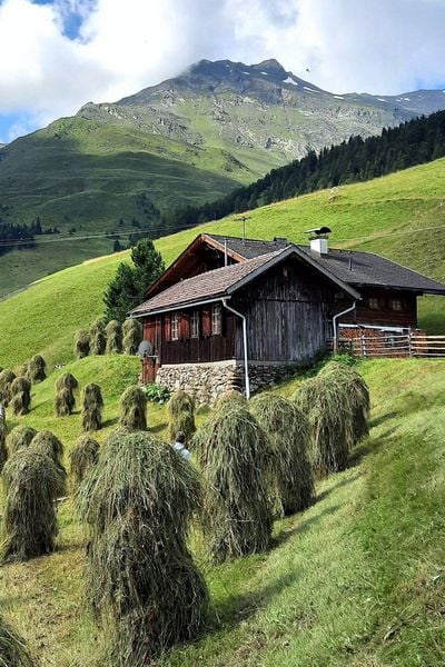 Produktbild: Alpine Vitalk&uuml;che