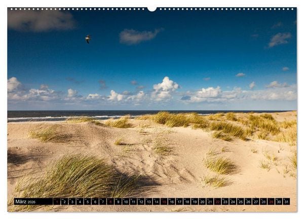 Produktbild: Insel Spiekeroog (hochwertiger Premium Wandkalender 2026 DIN A2 quer), Kunstdruck in Hochglanz