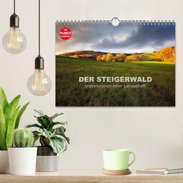 Produktbild: DER STEIGERWALD - Impressionen einer Landschaft (Wandkalender 2026 DIN A4 quer), CALVENDO Monatskalender