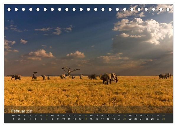 Produktbild: Elefanten (Tischkalender 2027 DIN A5 quer), CALVENDO Monatskalender