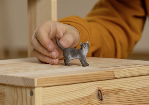 Produktbild: schleich&reg; Farm World Britisch Kurzhaar Katze 4,3cm