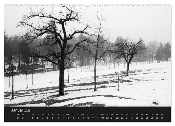Produktbild: B&auml;ume trees 2026 (Wandkalender 2026 DIN A2 quer), CALVENDO Monatskalender