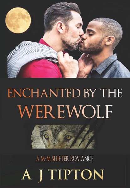 Produktbild: Enchanted by the Werewolf (Werewolves of Singer Valley, #2)