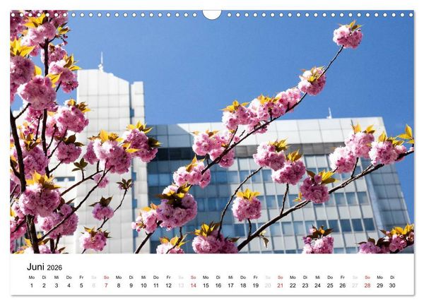 Produktbild: Bonn - Kirschbl&uuml;tenfest in der Altstadt (Wandkalender 2026 DIN A3 quer), CALVENDO Monatskalender